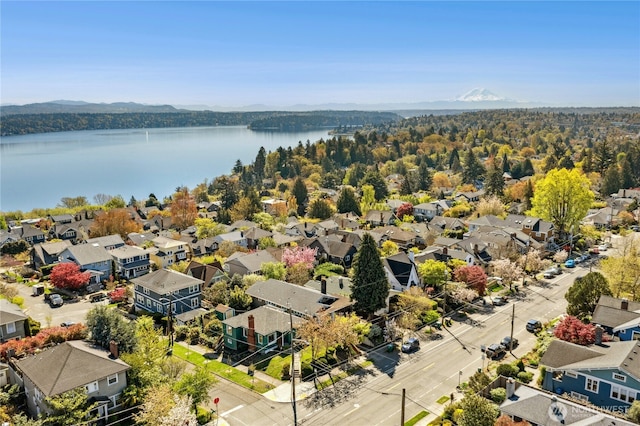 2000 31st Ave S, Seattle, WA 98144 - aerial perspective of suburban area with a large body of water