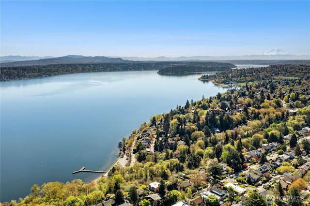 2000 31st Ave S, Seattle, WA 98144 - drone / aerial view of a water and mountain view