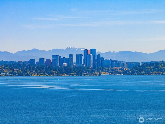 1117 Lake Washington Blvd S, Seattle, WA 98144 - photo 1
