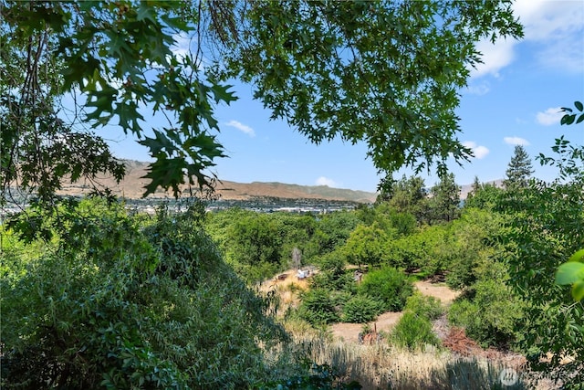 1714 N Astor Ct, East Wenatchee, WA 98802 - view of yard with a mountain view