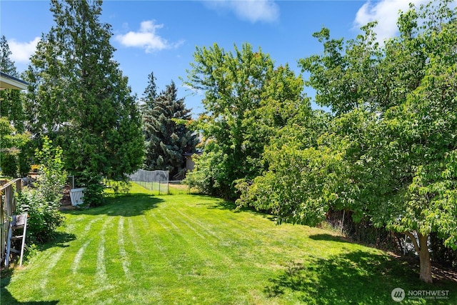 1714 N Astor Ct, East Wenatchee, WA 98802 - view of yard