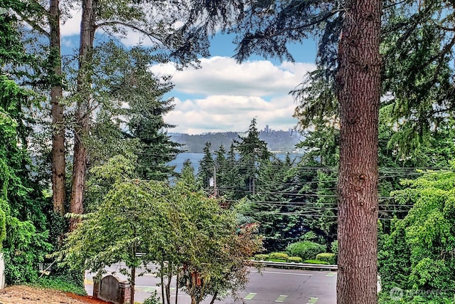 11214 80th Ave NE, Kirkland, WA 98034 - view of mountain background