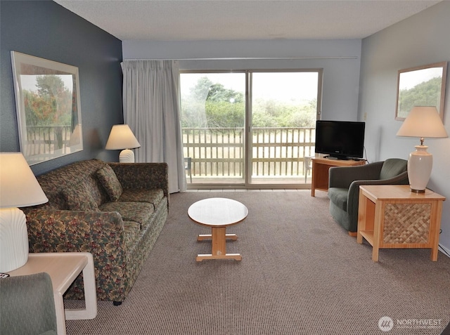 615 Ocean Shores Blvd NW Unit 210, Ocean Shores, WA 98569 - view of carpeted living area