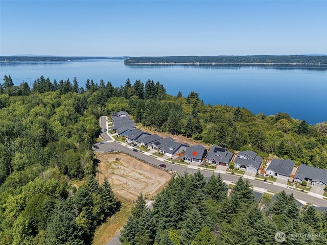 5704 Waldron Ct NE, Lacey, WA 98516 - photo 33