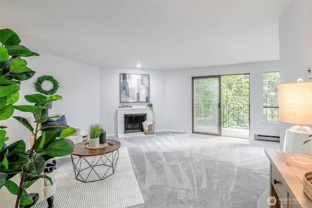 7324 N Skyview Ln Unit N102, Tacoma, WA 98406 - carpeted living room featuring baseboard heating and a fireplace