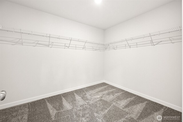 13928 178th St E, Puyallup, WA 98374 - photo 25