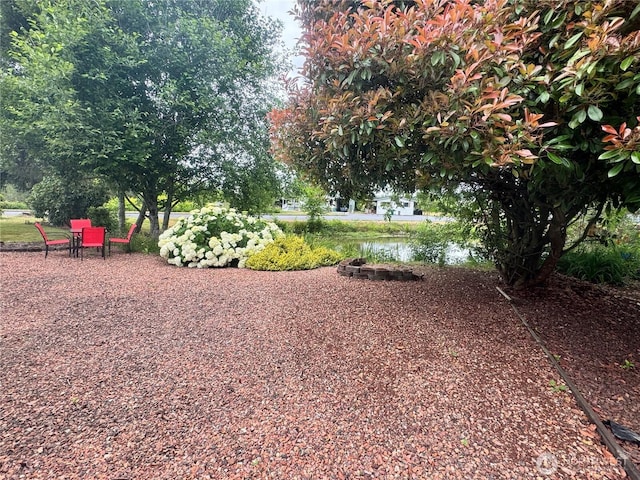 3611 I St NE Unit 291, Auburn, WA 98002 - view of yard