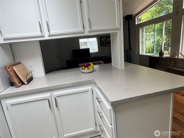 3611 I St NE Unit 291, Auburn, WA 98002 - kitchen featuring white cabinets, light countertops, and plenty of natural light