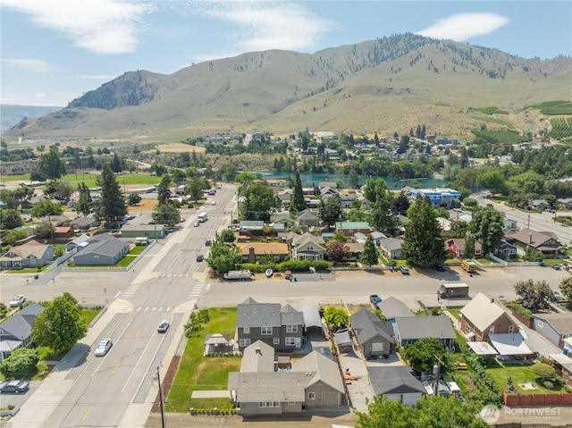 214 S Bradley St, Chelan, WA 98816 - aerial perspective of suburban area featuring mountains