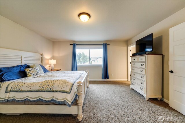 8605 189th Street Ct E, Puyallup, WA 98375 - photo 29