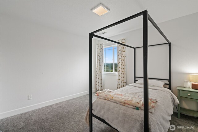 306 Van Horn Rd, Castle Rock, WA 98611 - photo 23