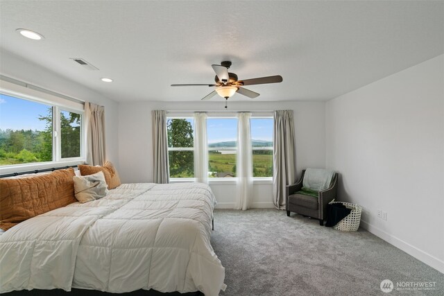 306 Van Horn Rd, Castle Rock, WA 98611 - photo 27