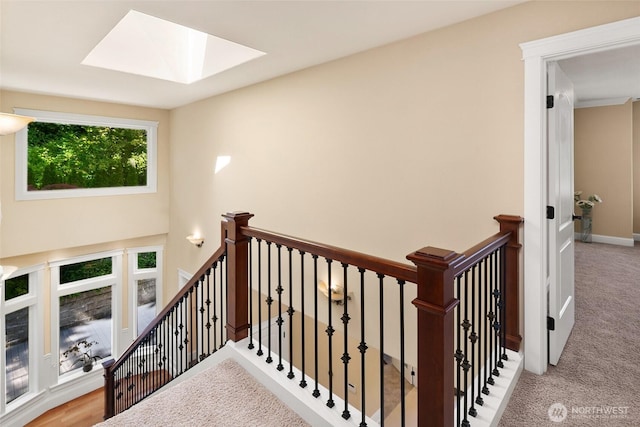 14248 SE Allen Rd, Bellevue, WA 98006 - staircase with a skylight and carpet floors