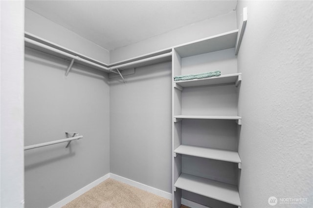 1839 S 286th Ln Unit S-201, Federal Way, WA 98003 - walk in closet featuring carpet