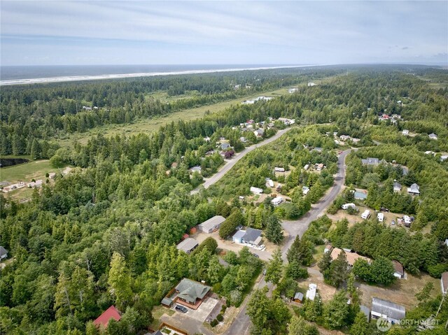 20403 Crane Pl, Ocean Park, WA 98640 - photo 4