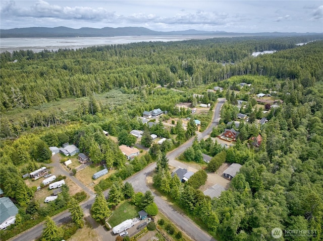 20403 Crane Pl, Ocean Park, WA 98640 - photo 30
