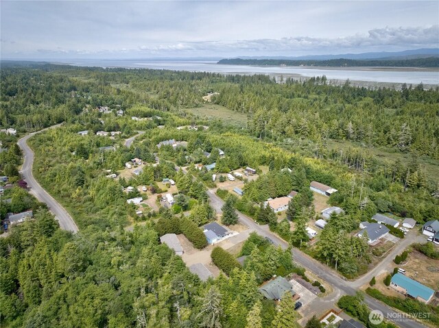20405 Crane Pl, Ocean Park, WA 98640 - photo 4