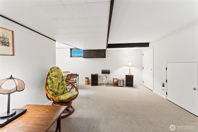 1327 N 79th St, Seattle, WA 98103 - living area with carpet flooring