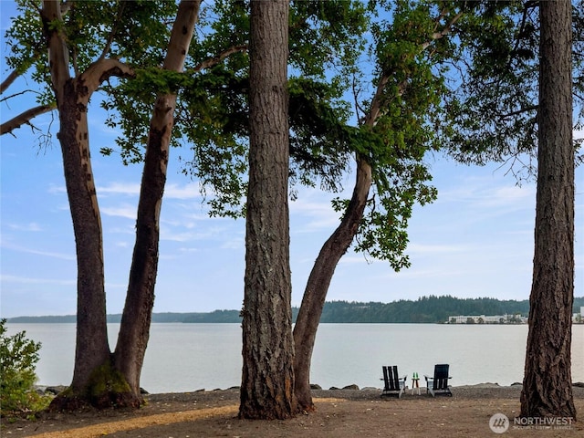 0XX NE Lemolo Shore Dr, Poulsbo, WA 98370 - photo 3
