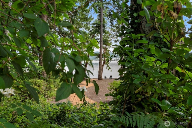 0XX NE Lemolo Shore Dr, Poulsbo, WA 98370 - photo 17