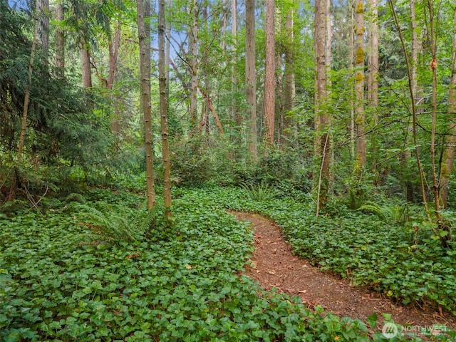0XX NE Lemolo Shore Dr, Poulsbo, WA 98370 - photo 19
