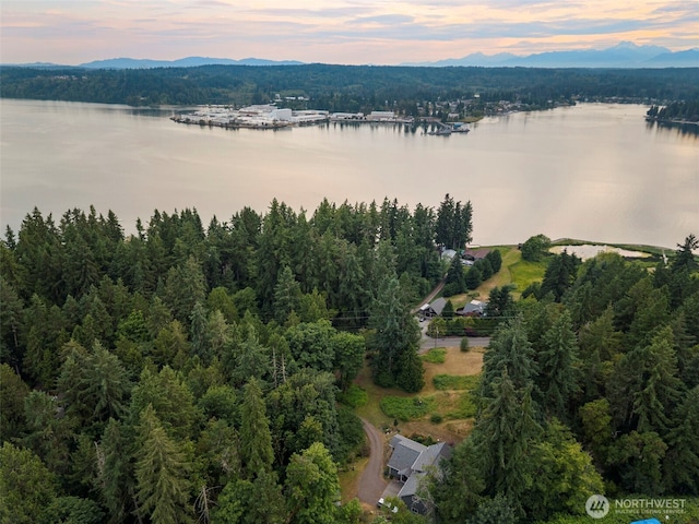 0XX NE Lemolo Shore Dr, Poulsbo, WA 98370 - photo 21