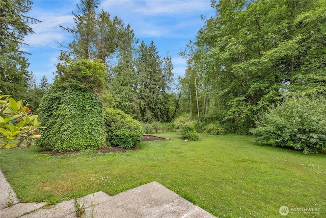 12208 99th Ave NE, Arlington, WA 98223 - photo 33
