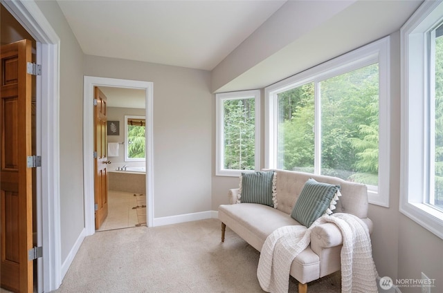 43622 SE 170th St, North Bend, WA 98045 - photo 18