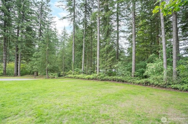 43622 SE 170th St, North Bend, WA 98045 - photo 31