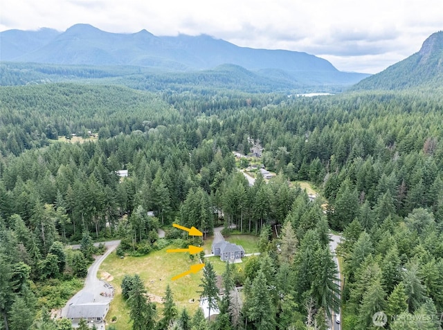 43622 SE 170th St, North Bend, WA 98045 - photo 36