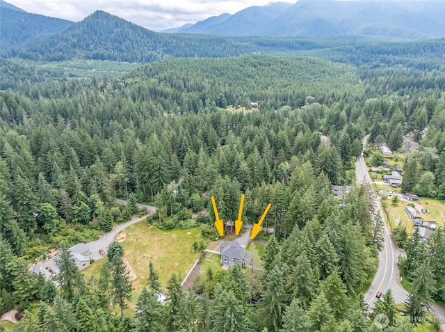 43622 SE 170th St, North Bend, WA 98045 - photo 37