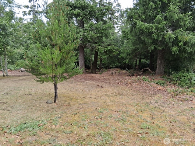 0 O Ln, Ocean Park, WA 98640 - photo 2