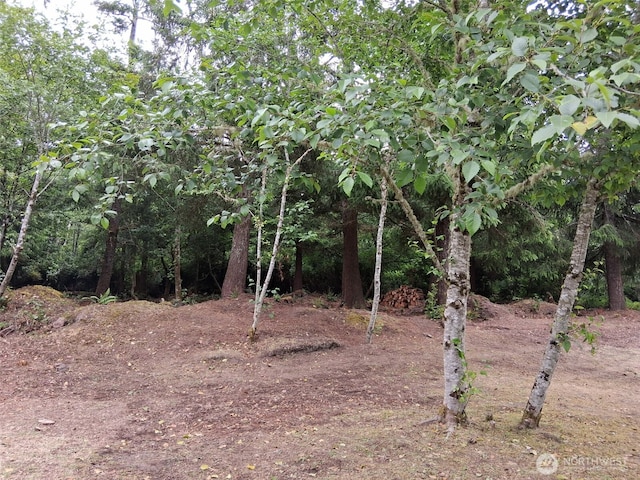 0 O Ln, Ocean Park, WA 98640 - photo 4