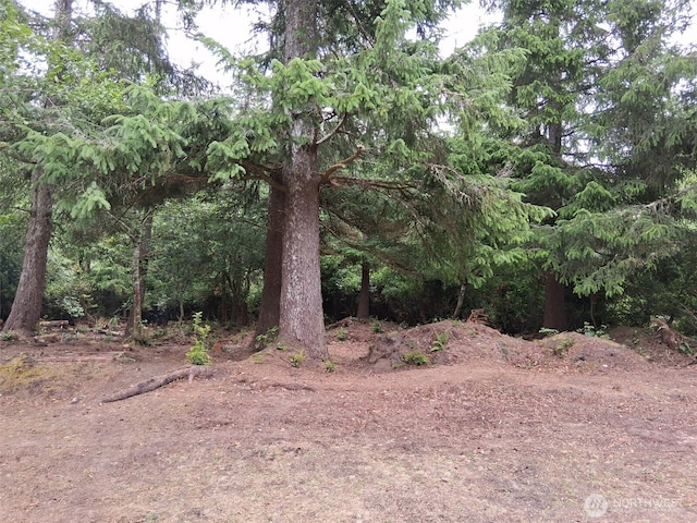 0 O Ln, Ocean Park, WA 98640 - photo 5