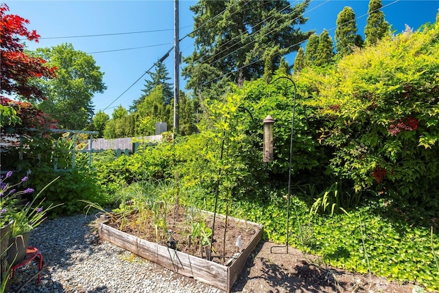 717 Cushing St SW, Olympia, WA 98502 - view of yard featuring a vegetable garden