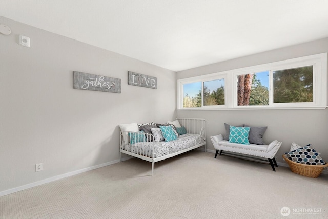 12700 NE 8th St Unit E-205, Bellevue, WA 98005 - carpeted bedroom with baseboards