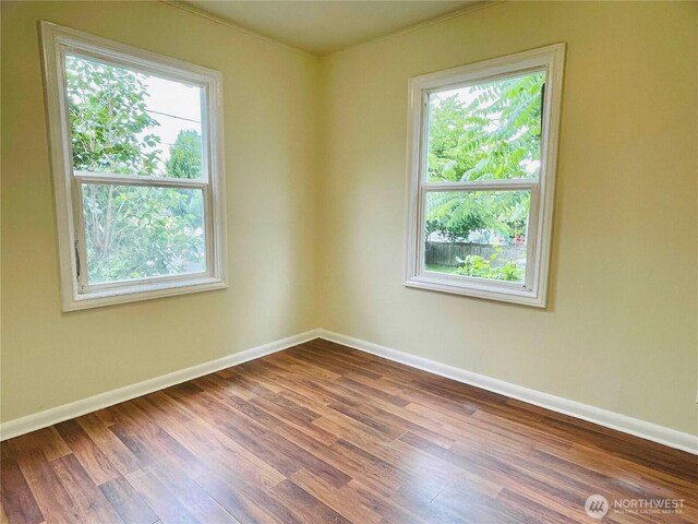 334 Garden Ave N, Renton, WA 98057 - photo 5