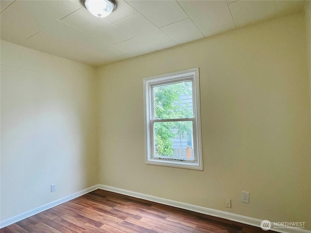 334 Garden Ave N, Renton, WA 98057 - photo 6