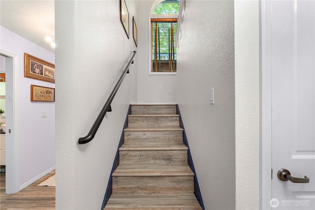 7600 Highland Park Way SW, Seattle, WA 98106 - photo 24