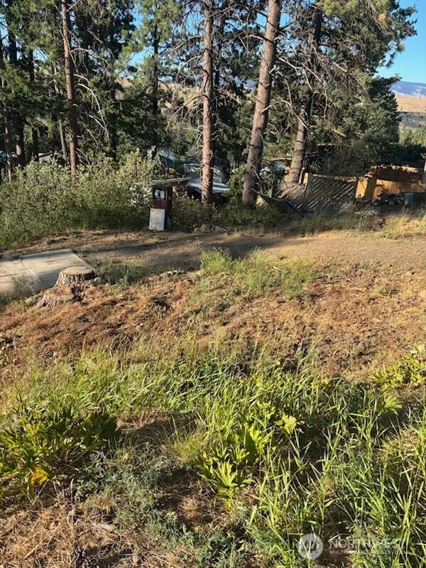 180 Ridge Loop Rd, Cle Elum, WA 98922 - photo 3