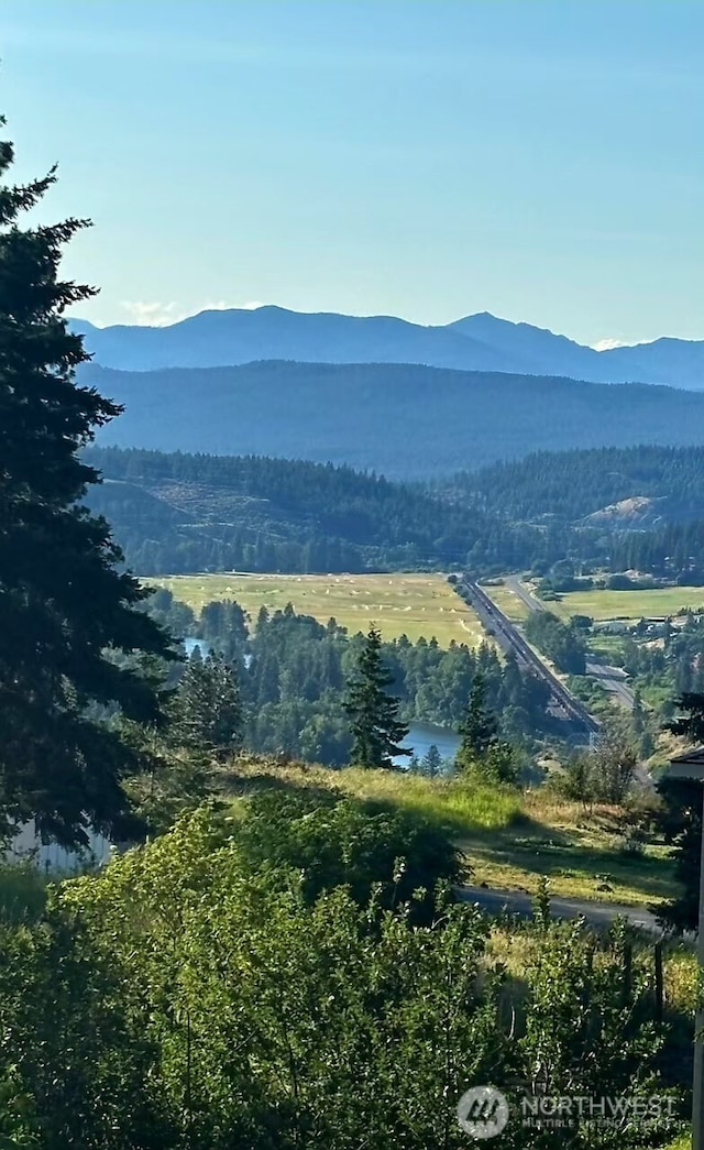 180 Ridge Loop Rd, Cle Elum, WA 98922 - photo 2