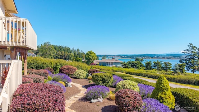 1223 Rainier Ln, Oak Harbor, WA 98277 - view of yard featuring a water view