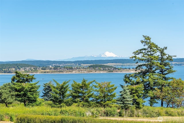 1223 Rainier Ln, Oak Harbor, WA 98277 - water view with a mountainous background