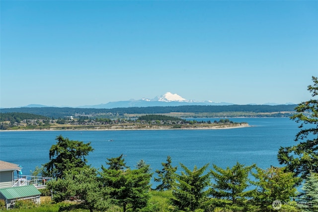 1223 Rainier Ln, Oak Harbor, WA 98277 - water view with mountains