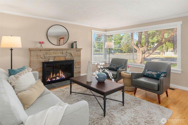 9557 6th Ave NW, Seattle, WA 98117 - photo 6