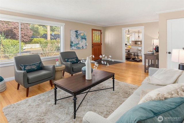9557 6th Ave NW, Seattle, WA 98117 - photo 7