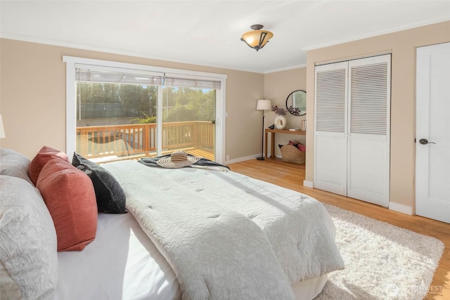9557 6th Ave NW, Seattle, WA 98117 - photo 14