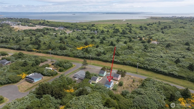 440 Marine View Dr SW Unit 3, Ocean Shores, WA 98569 - bird's eye view of a forest and a nearby body of water