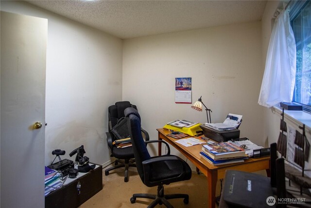 16549 Hickory Ln SE, Yelm, WA 98597 - photo 25