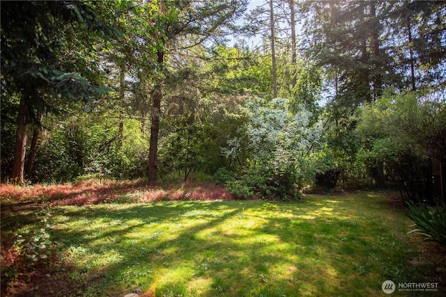 16549 Hickory Ln SE, Yelm, WA 98597 - photo 28